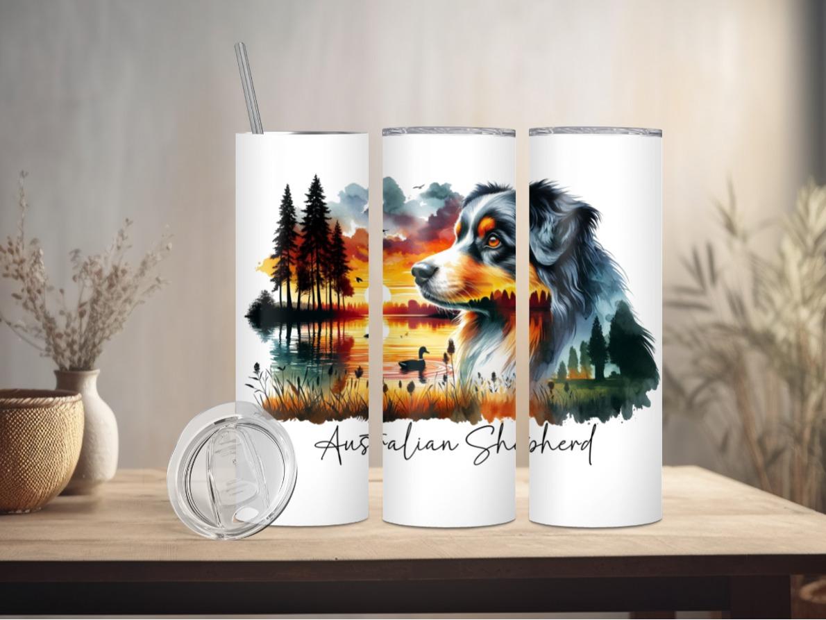 Australian Shepherd