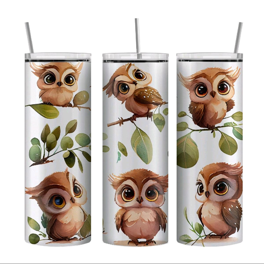 Owls Collection 🦉