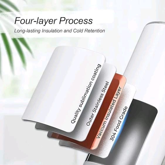 Owls Collection 🦉